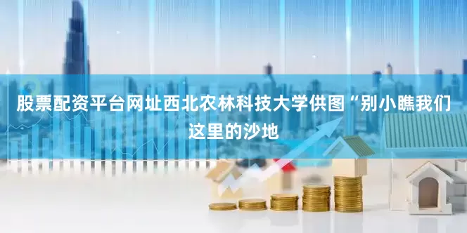 股票配资平台网址西北农林科技大学供图“别小瞧我们这里的沙地