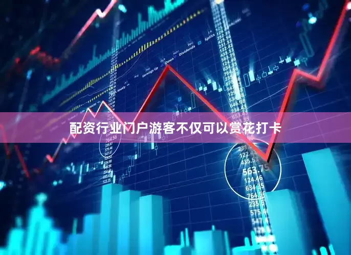 配资行业门户游客不仅可以赏花打卡