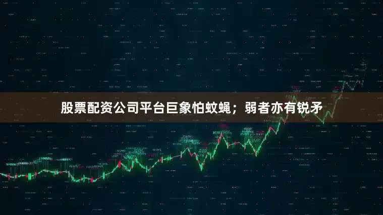 股票配资公司平台巨象怕蚊蝇；弱者亦有锐矛